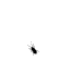 HkaeferAni.gif