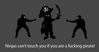 Ninjas.jpg